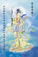 /album/%e8%a7%80%e9%9f%b3/dabei8824-300x448-jpg/