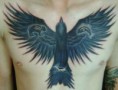 /album/%e7%b6%b2%e8%b7%af%e7%9b%b8%e7%b0%bf%3a-%e9%b7%b9/psb-14-jpg4/