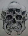 /album/%e7%b6%b2%e8%b7%af%e7%9b%b8%e7%b0%bf%3a-%e9%aa%b7%e9%ab%8f/psb-43-jpg2/