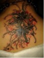 /album/%e7%b6%b2%e8%b7%af%e7%9b%b8%e7%b0%bf%3a-%e5%bd%bc%e5%b2%b8%e8%8a%b1/psb-10-jpg7/