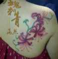 /album/%e7%b6%b2%e8%b7%af%e7%9b%b8%e7%b0%bf%3a-%e5%bd%bc%e5%b2%b8%e8%8a%b1/psb-13-jpg7/