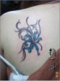 /album/%e7%b6%b2%e8%b7%af%e7%9b%b8%e7%b0%bf%3a-%e5%bd%bc%e5%b2%b8%e8%8a%b1/psb-25-jpg7/